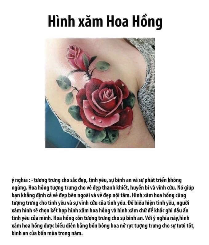 Saigon Tattoo Group Academy