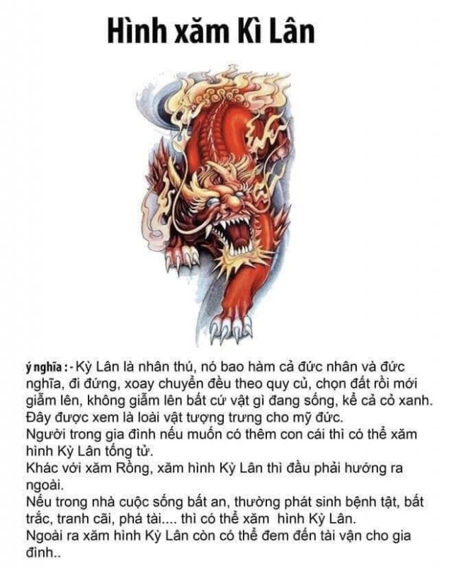 Saigon Tattoo Group Academy