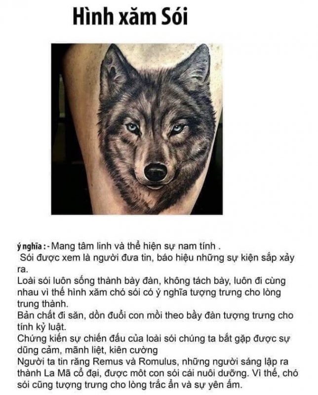 Saigon Tattoo Group Academy