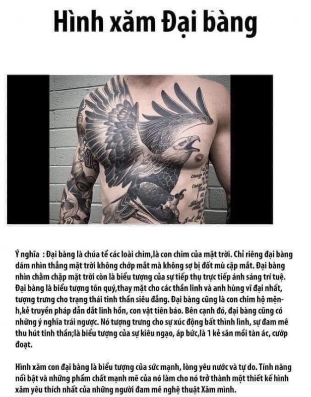 Saigon Tattoo Group Academy
