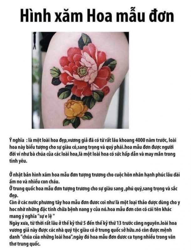 Saigon Tattoo Group Academy