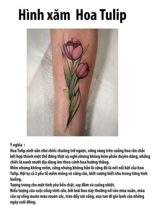 Saigon Tattoo Group Academy