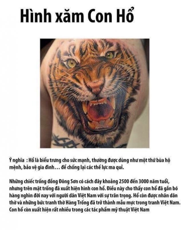 Saigon Tattoo Group Academy