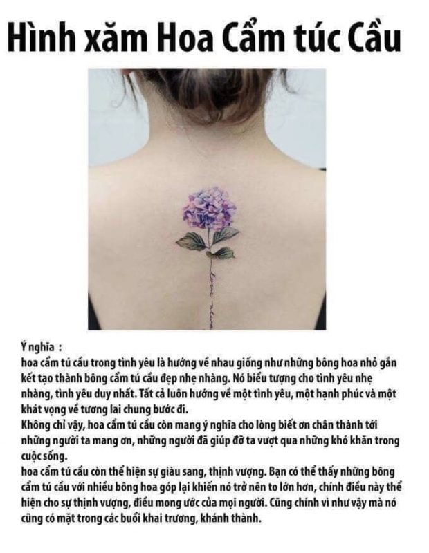 Saigon Tattoo Group Academy