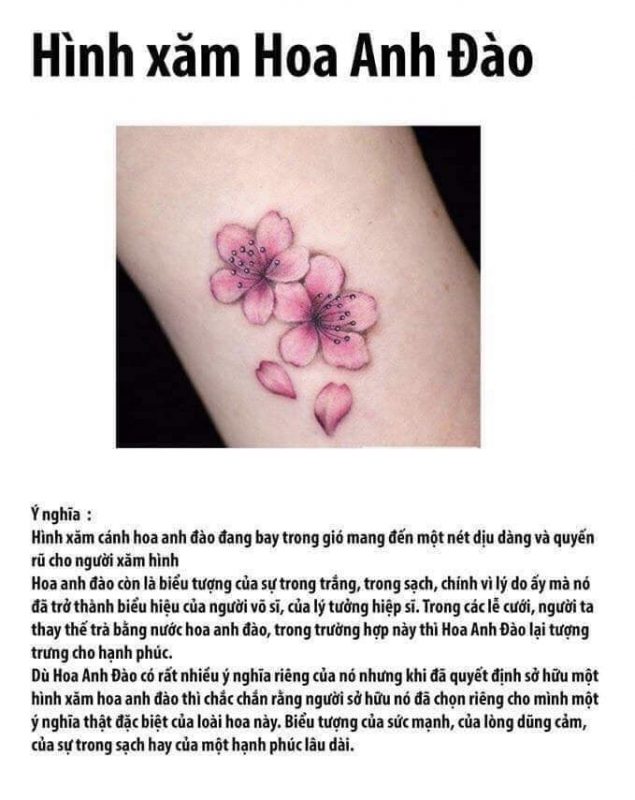 Saigon Tattoo Group Academy