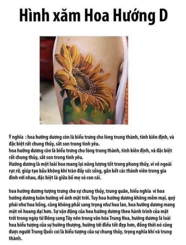 Saigon Tattoo Group Academy
