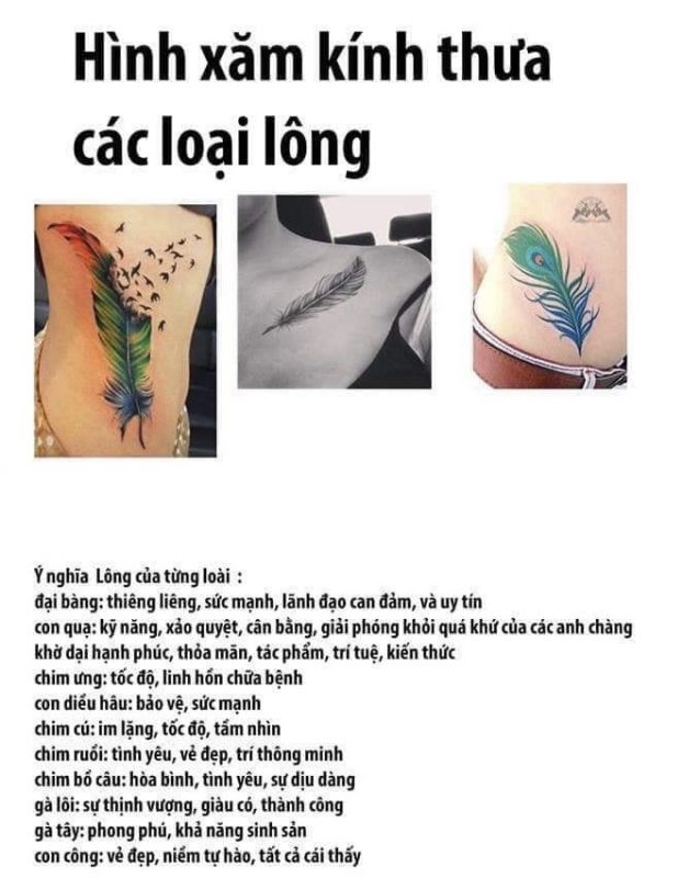 Saigon Tattoo Group Academy