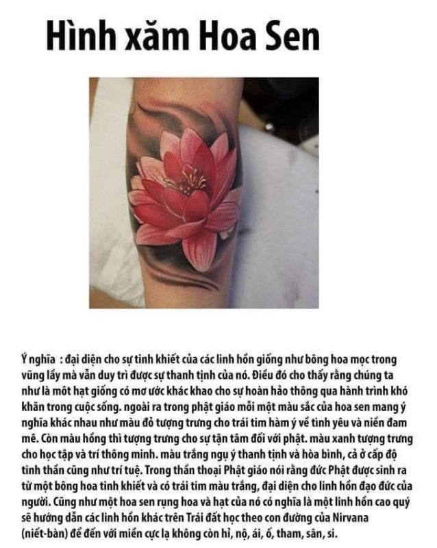 Saigon Tattoo Group Academy