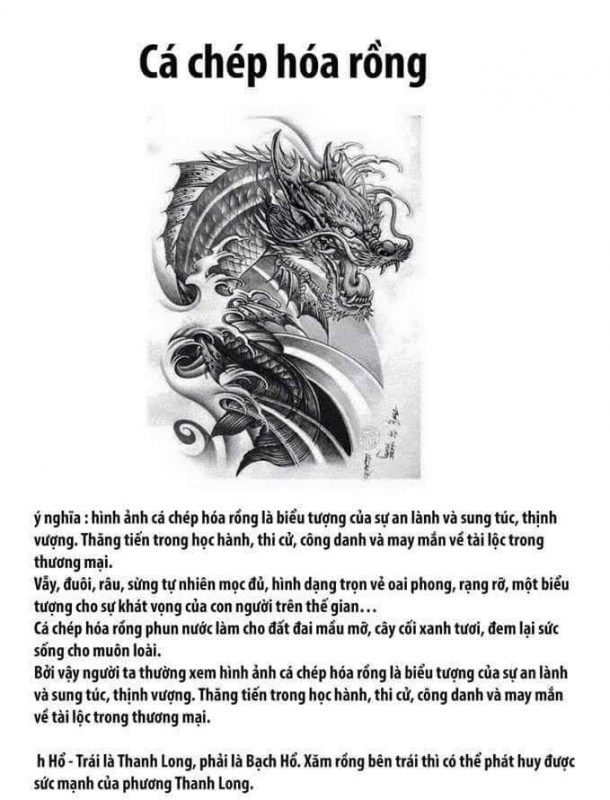 Saigon Tattoo Group Academy
